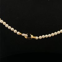 Necklace Cianfrone Gioielli Woman in Gold Perla COOR-84-198 - COOR-84-198